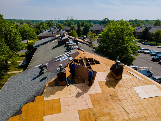 Best Roof Maintenance Services  in Winnfield, LA
