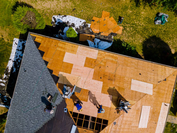 Best Best Roofing Contractors  in Winnfield, LA