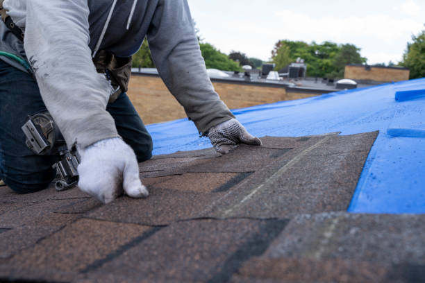 Trusted Winnfield, LA Roofing Contractor Experts