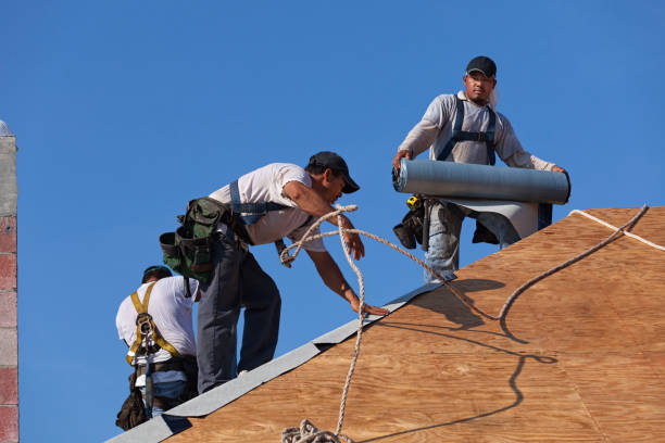 Best Roofing Contractor Near Me  in Winnfield, LA